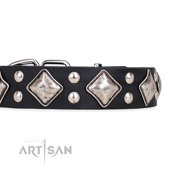 Natural leather dog collar with unusual reliable adornments