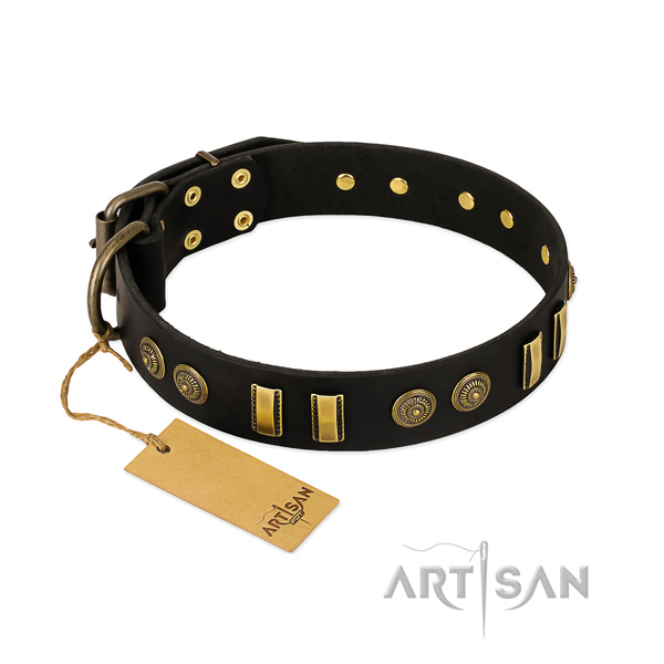 Rust-proof buckle on leather dog collar for your pet