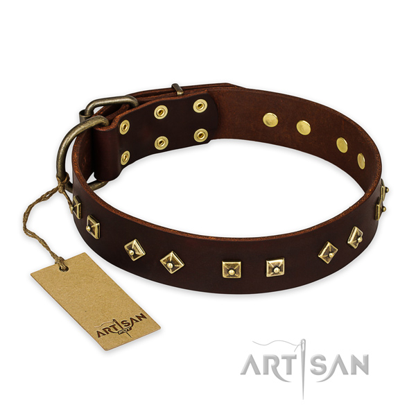 Unusual full grain natural leather dog collar with corrosion resistant D-ring