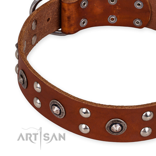 Full grain genuine leather collar with reliable fittings for your handsome dog