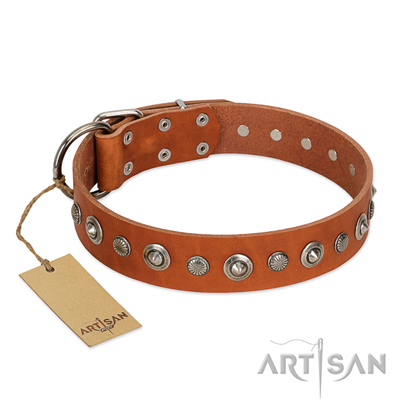 Fine quality full grain genuine leather dog collar with fashionable studs