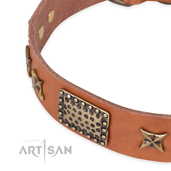 Leather collar with reliable D-ring for your lovely dog