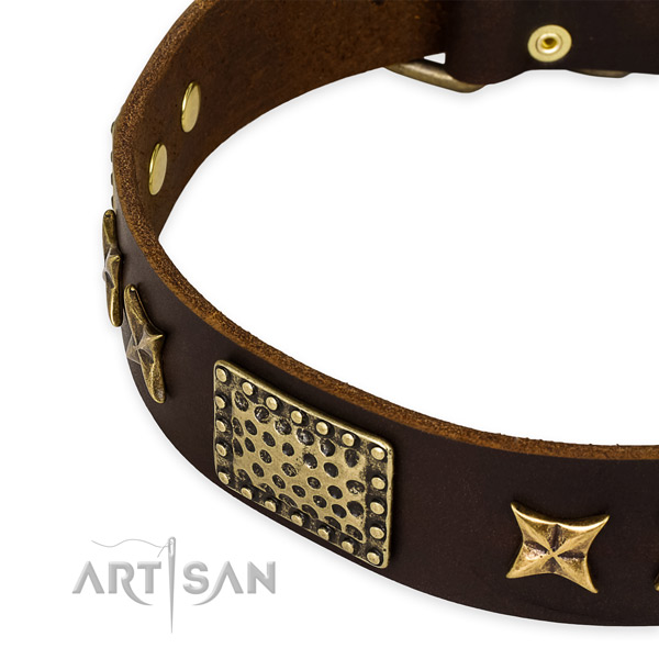 Full grain natural leather collar with corrosion proof buckle for your lovely canine