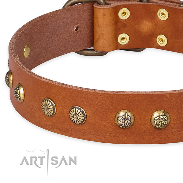 Genuine leather collar with rust-proof hardware for your impressive four-legged friend