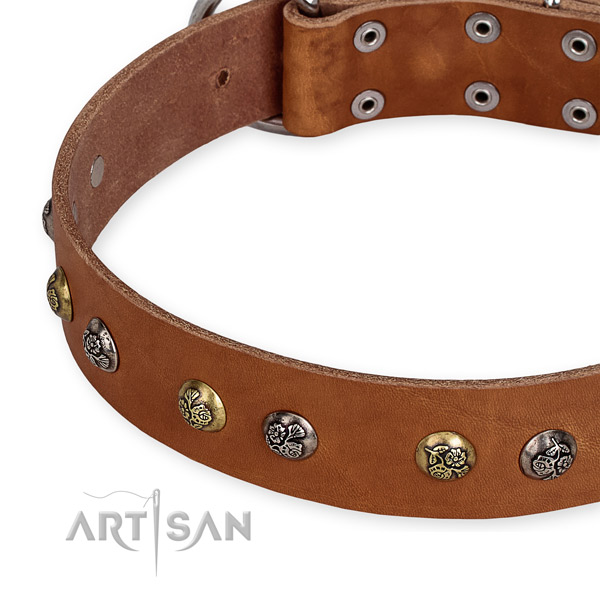Full grain leather dog collar with exceptional rust-proof studs