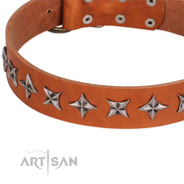 Handy use adorned dog collar of durable leather