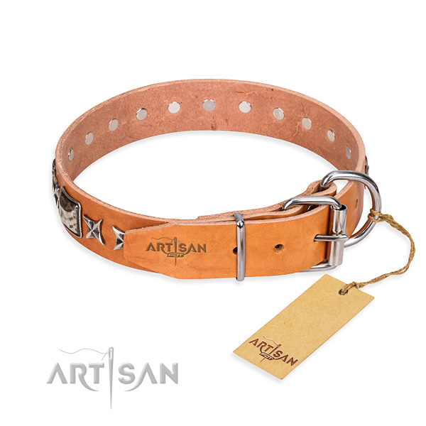 Quality decorated dog collar of natural leather