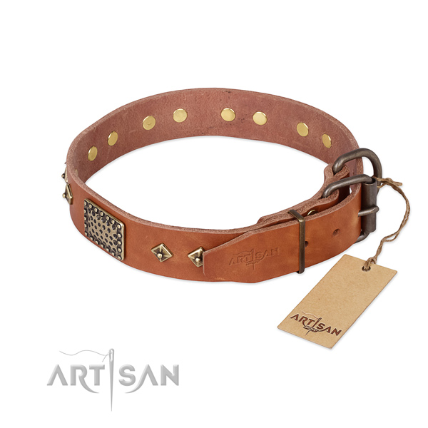 Natural leather dog collar with strong buckle and decorations