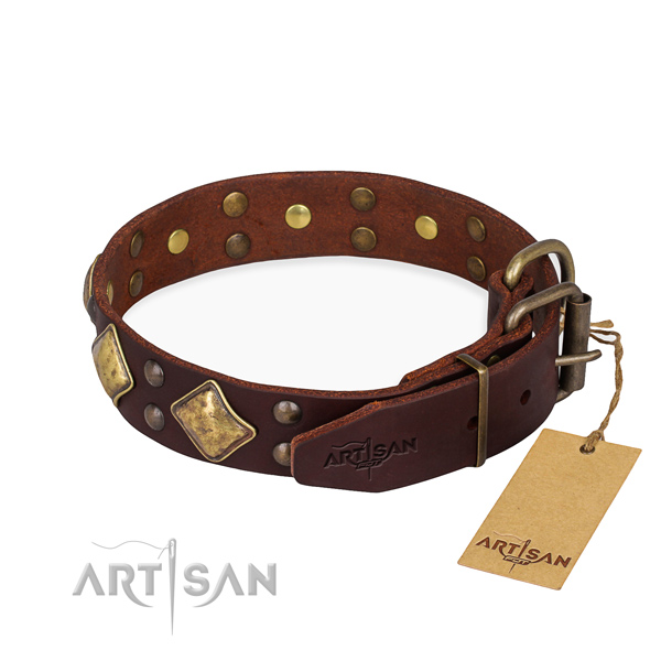 Natural leather dog collar with unusual strong embellishments