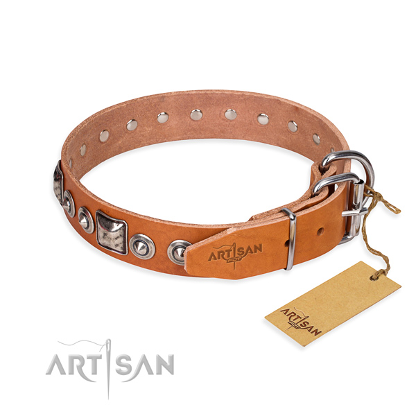 Top notch full grain leather dog collar created for walking