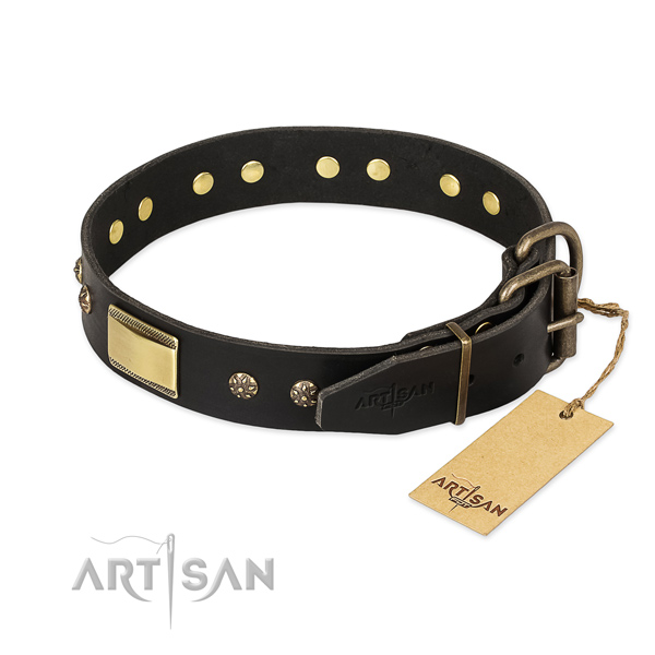Natural leather dog collar with corrosion proof hardware and embellishments