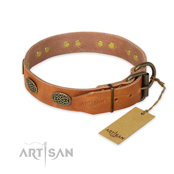 Corrosion proof traditional buckle on full grain genuine leather collar for basic training your pet