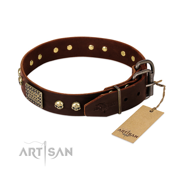 Rust-proof embellishments on daily walking dog collar