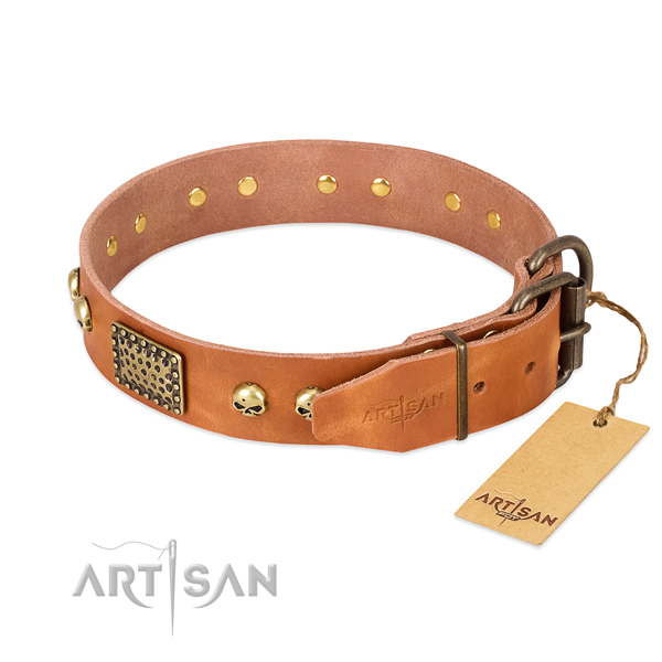 Rust-proof traditional buckle on comfortable wearing dog collar