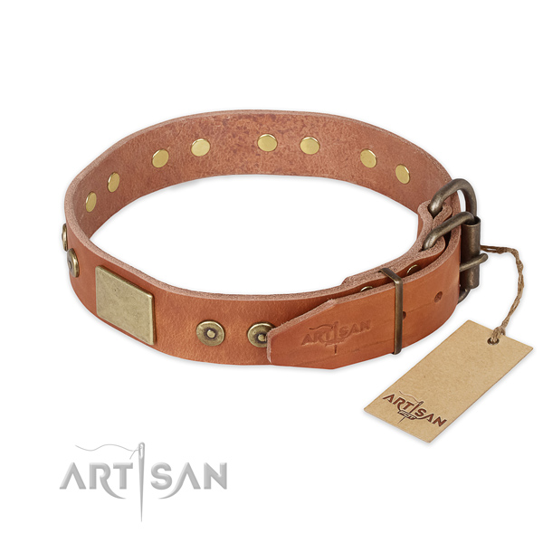 Rust-proof traditional buckle on leather collar for everyday walking your dog