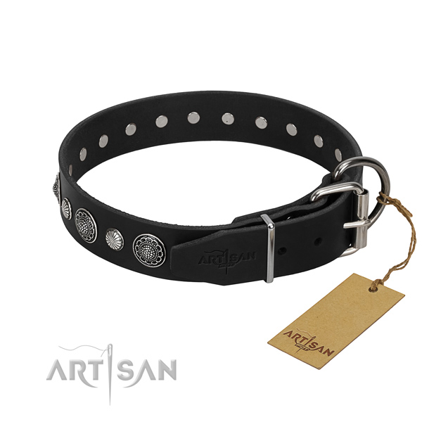 Durable leather dog collar with stylish adornments