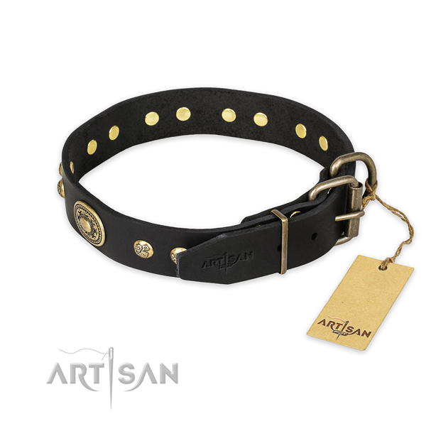 Durable buckle on full grain genuine leather collar for stylish walking your doggie