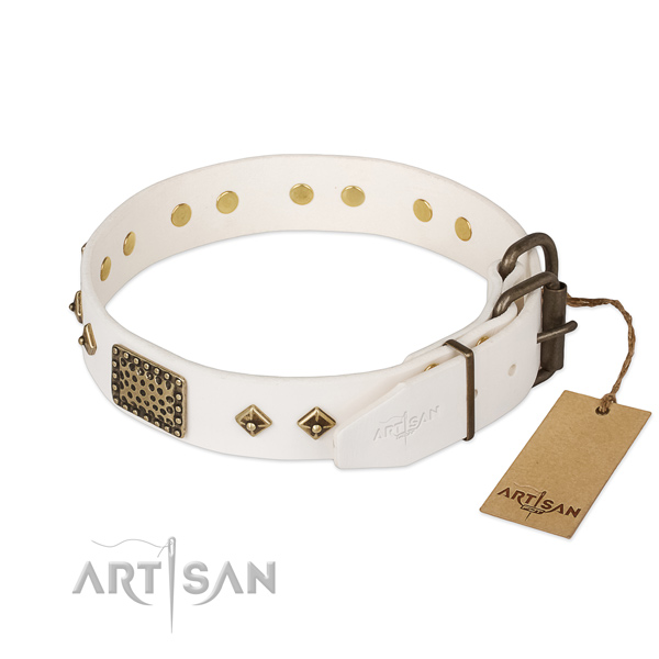 Full grain natural leather dog collar with rust resistant hardware and studs