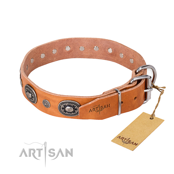 Strong leather dog collar handmade for daily walking