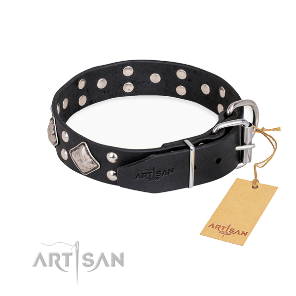 Full grain leather dog collar with fashionable rust resistant embellishments