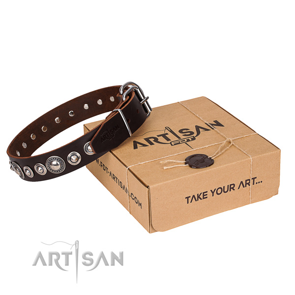 Full grain natural leather dog collar made of gentle to touch material with strong traditional buckle