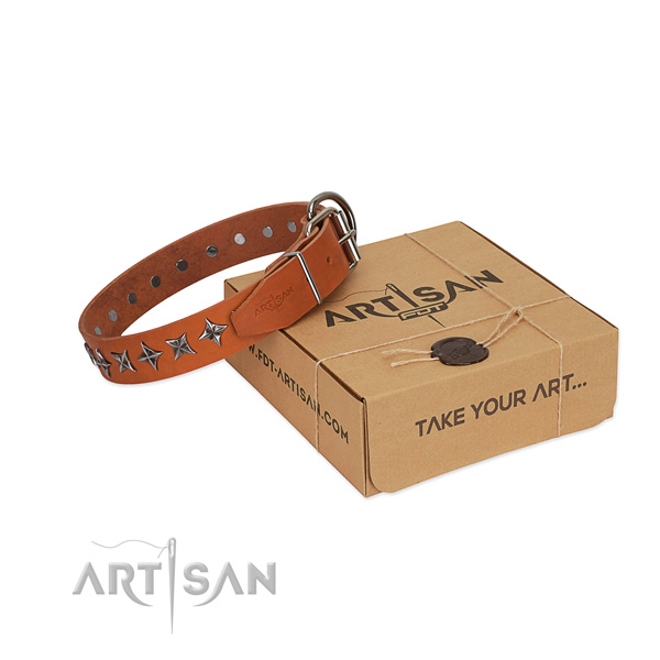 Handy use dog collar of top notch full grain leather with embellishments