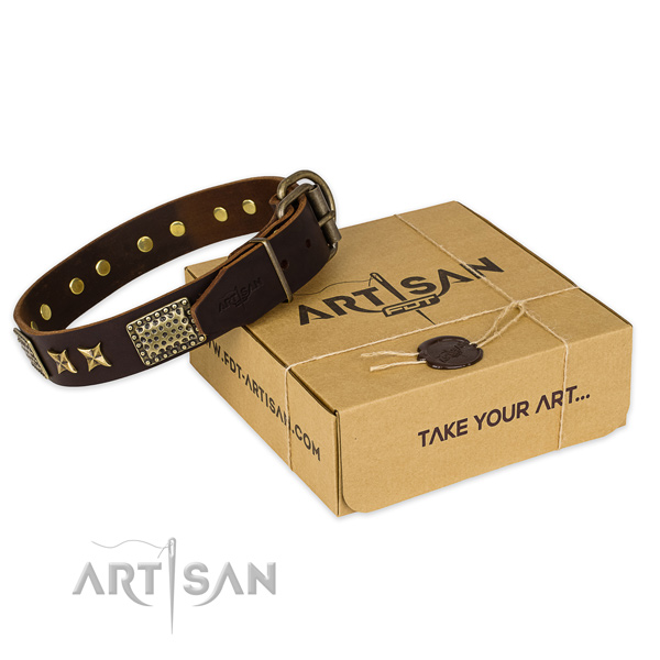 Reliable fittings on leather collar for your lovely canine