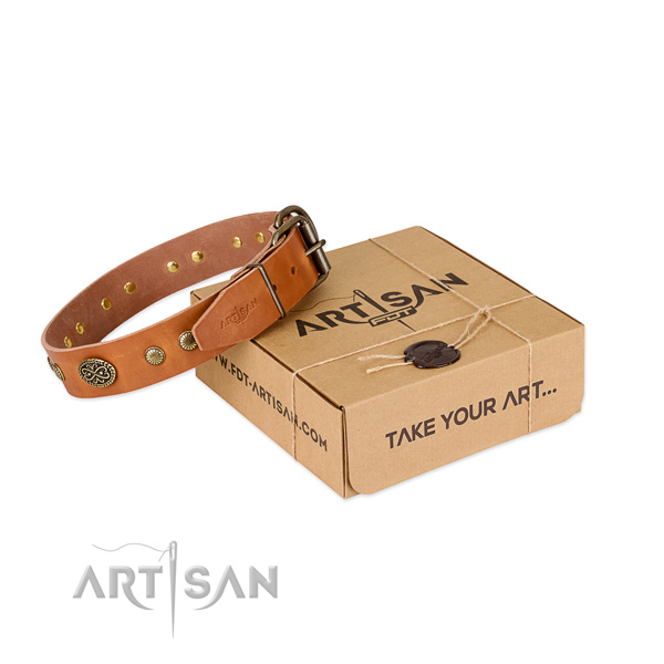 Rust-proof studs on genuine leather dog collar for your doggie