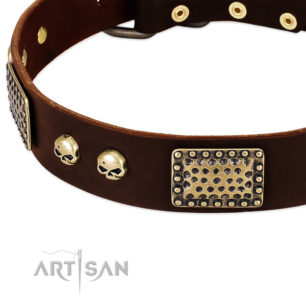Rust-proof adornments on leather dog collar for your dog