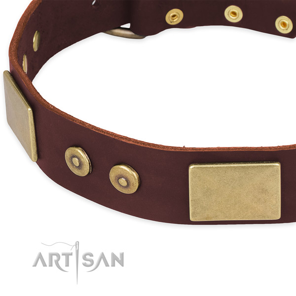 Genuine leather dog collar with studs for daily walking