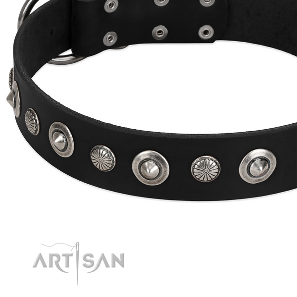 Stylish adorned dog collar of strong natural leather