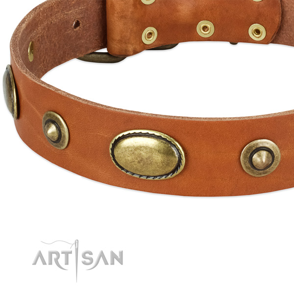 Rust-proof adornments on natural leather dog collar for your canine