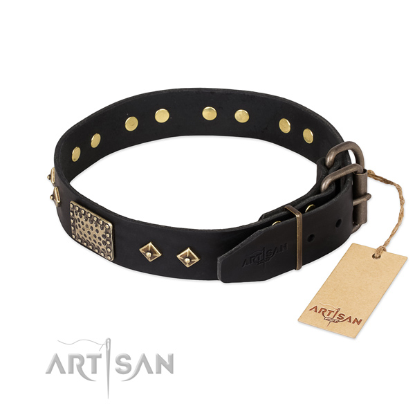 Leather dog collar with corrosion proof traditional buckle and adornments