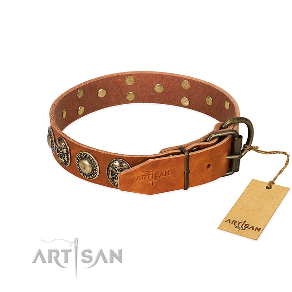Reliable traditional buckle on walking dog collar
