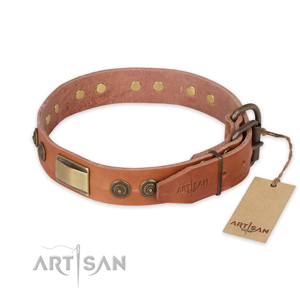 Rust-proof buckle on full grain natural leather collar for fancy walking your pet