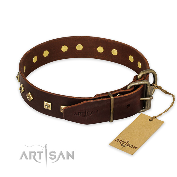 Strong fittings on leather collar for stylish walking your doggie