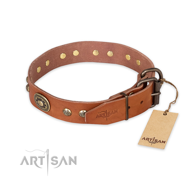 Durable buckle on full grain natural leather collar for basic training your four-legged friend