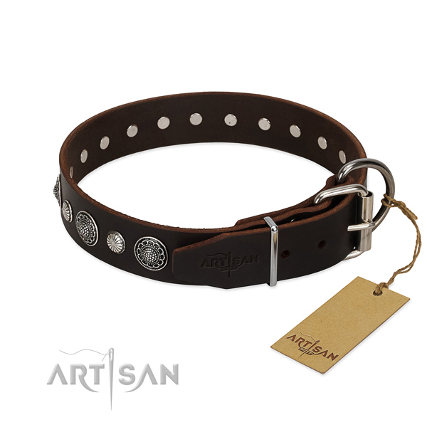 Finest quality full grain natural leather dog collar with amazing decorations