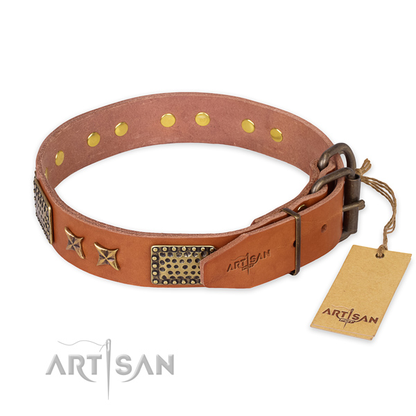 Reliable buckle on full grain leather collar for your beautiful pet