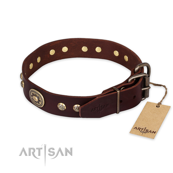 Rust-proof traditional buckle on full grain leather collar for walking your pet