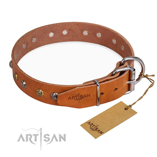 Genuine leather dog collar with top notch rust resistant embellishments