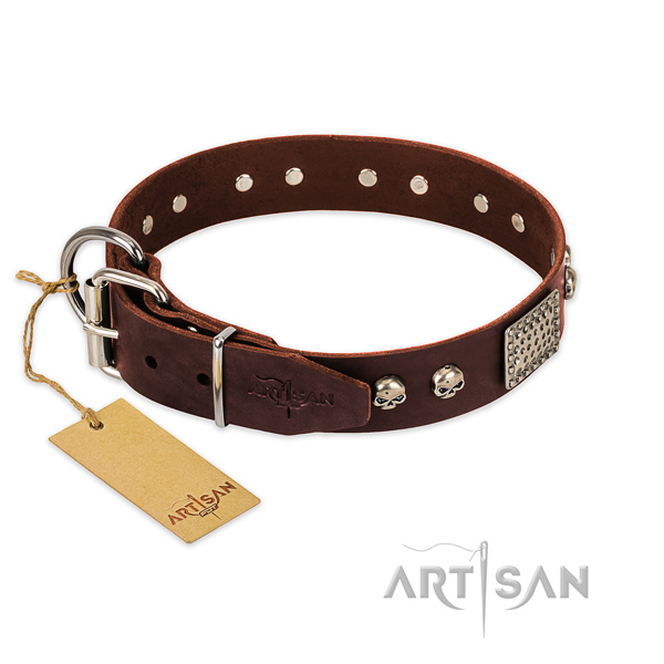 Reliable hardware on stylish walking dog collar