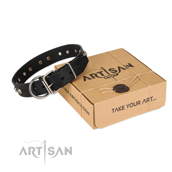 Durable adornments on dog collar for stylish walking