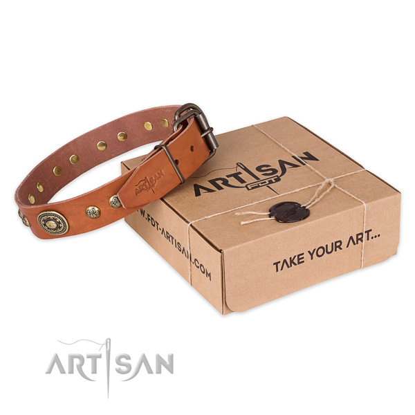 Rust resistant buckle on natural leather dog collar for fancy walking