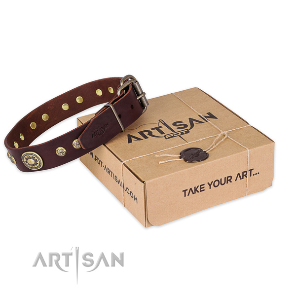 Rust-proof hardware on full grain genuine leather dog collar for walking