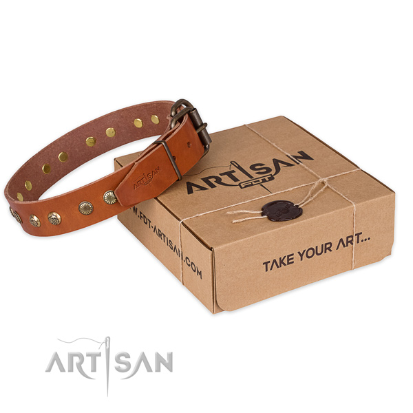 Reliable hardware on full grain leather collar for your attractive canine