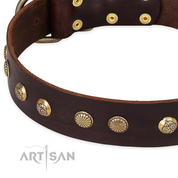 Natural genuine leather collar with corrosion proof D-ring for your impressive dog