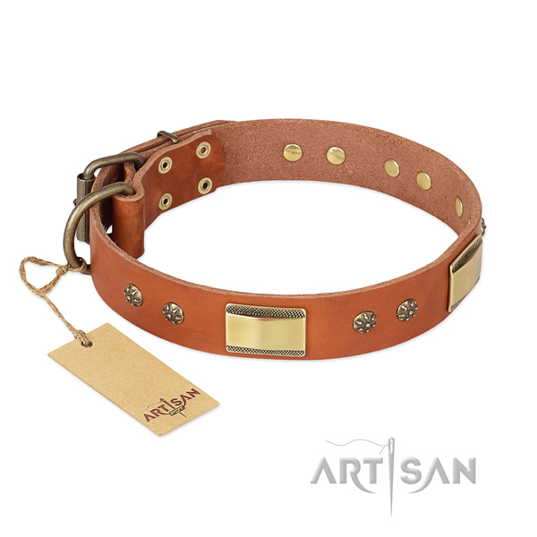 Convenient natural genuine leather collar for your dog