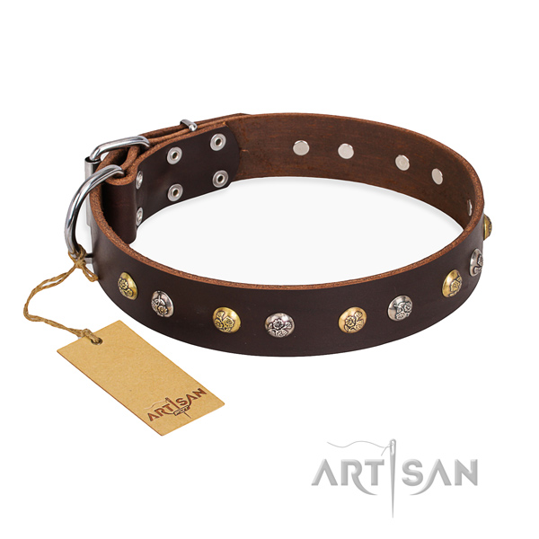 Daily use decorated dog collar with corrosion proof hardware