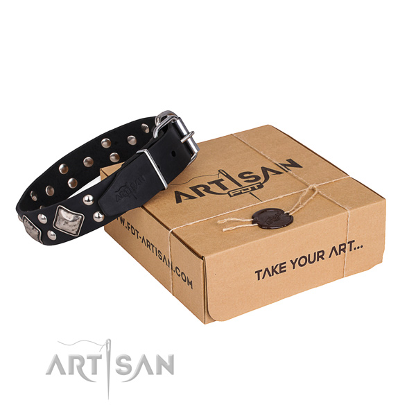 Basic training dog collar with Exquisite rust-proof decorations